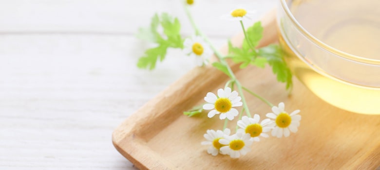 肌タイプ診断「あなたに必要な栄養・成分は?」