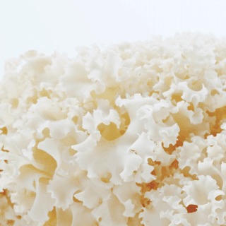 ハナビラタケってどんなキノコ?