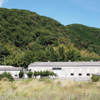 ハナビラタケができるまで