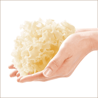 ハナビラタケの機能性