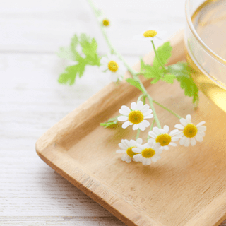 【産婦人科医師が解説】第1章 女性ホルモンとは